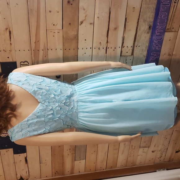 Antonio Melani fit and flare dress with applique bodice - Picture 5 of 9